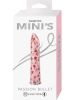 Minis Passion Bullet Pink