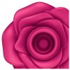 Pro 2 Classic Blossom - Plum