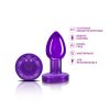 Vibrating Purple Metal Remote Plug