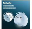 Mochi