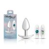 Silver Anchor Buttplug Kit