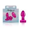 Vibrating Pink Metal Remote Plug