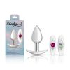 Silver Anchor Buttplug Kit