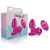 Vibrating Pink Metal Remote Plug