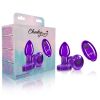 Vibrating Purple Metal Remote Plug