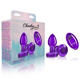 Vibrating Purple Metal Remote Plug (size: small)