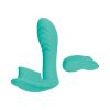Blaze Remote Control Satisfier